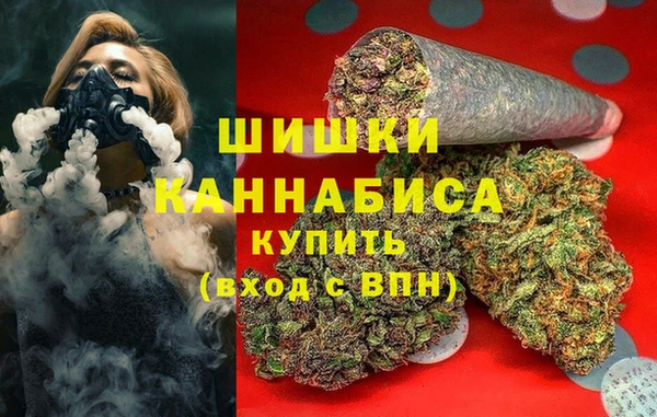 крисы Баксан