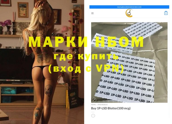 крисы Баксан