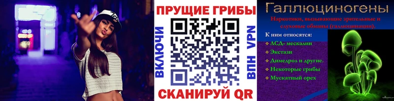 Псилоцибиновые грибы GOLDEN TEACHER kraken зеркало Подпорожье